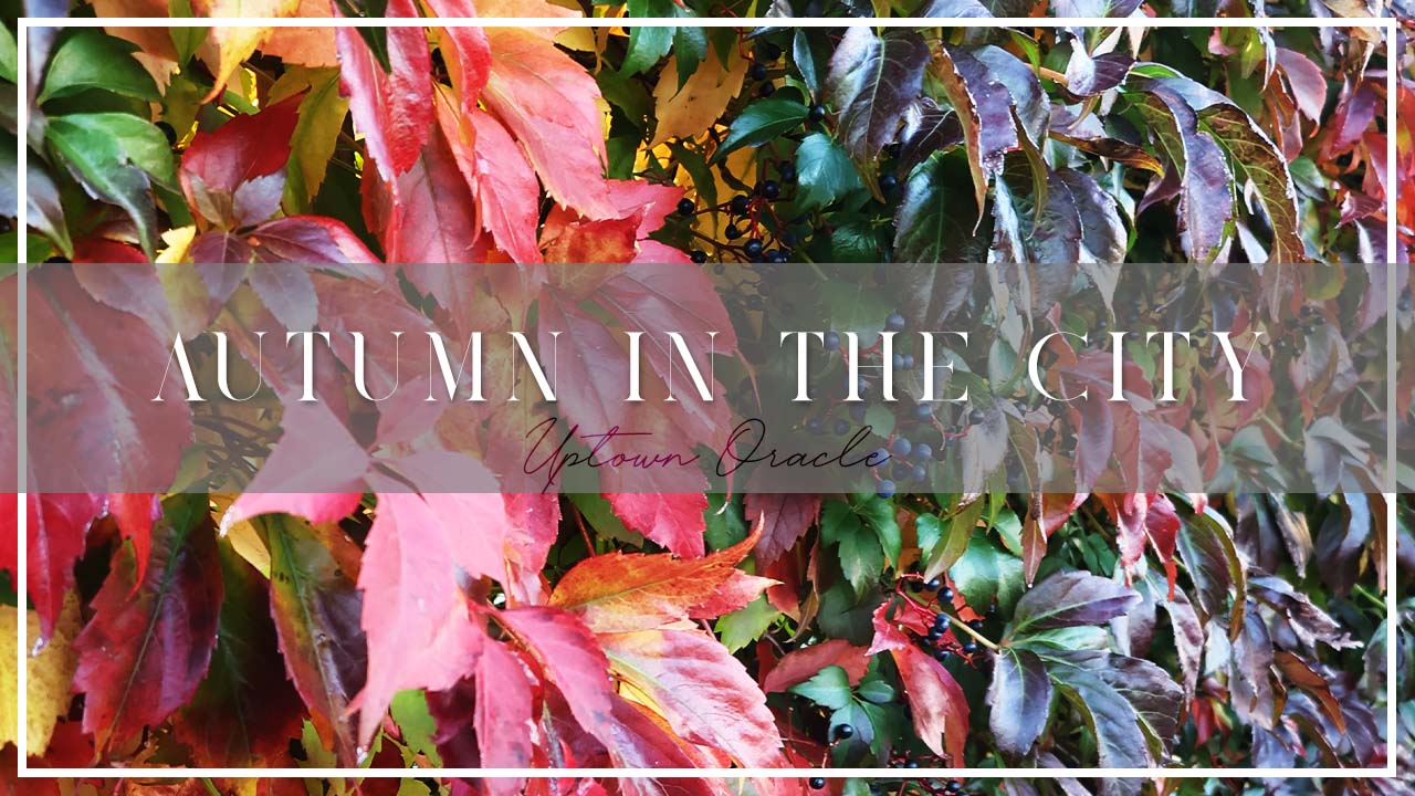 Autumn in the City: Favourite Cafés, Corners & Coats