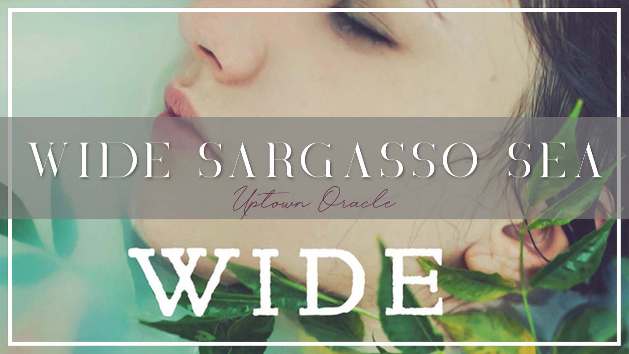 Wide Sargasso Sea by Jean Rhys 🌊 A Haunting Reimagining of the Woman in the Attic